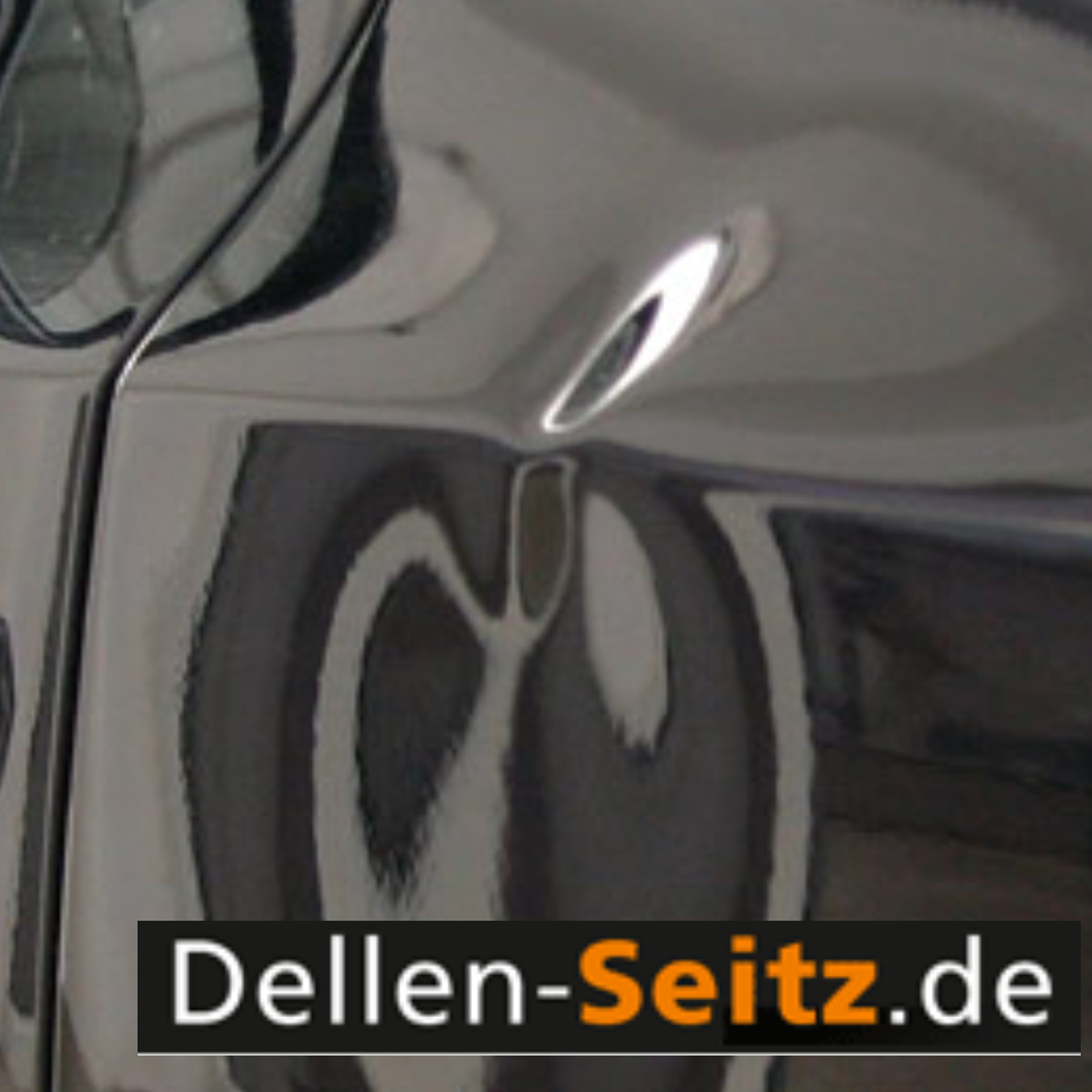 Dellen-Seitz_2026_01.jpg